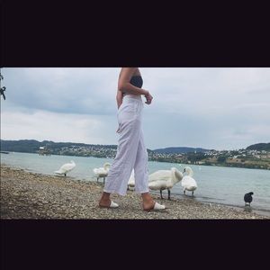 Meet your Posher, Linnea